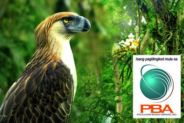 Purpose of PBA